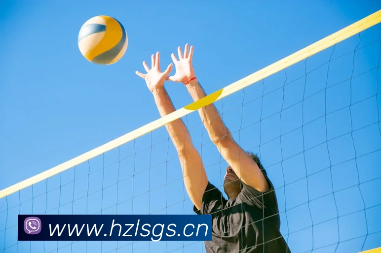 多媒体互动体验