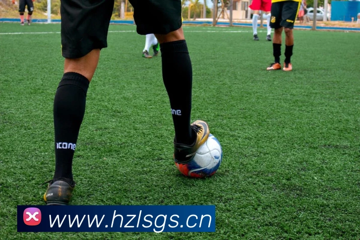 emc易倍官网入口APP 高清赛事图